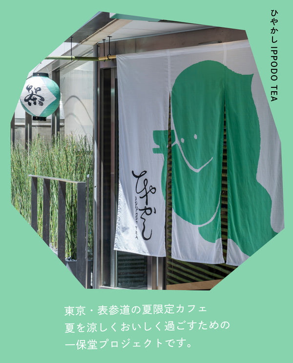 【ひやかしIPPODO TEA】9/14(土)ひやかし企画vol.12親子でひやかし「急須を使って煎茶を淹れよう」